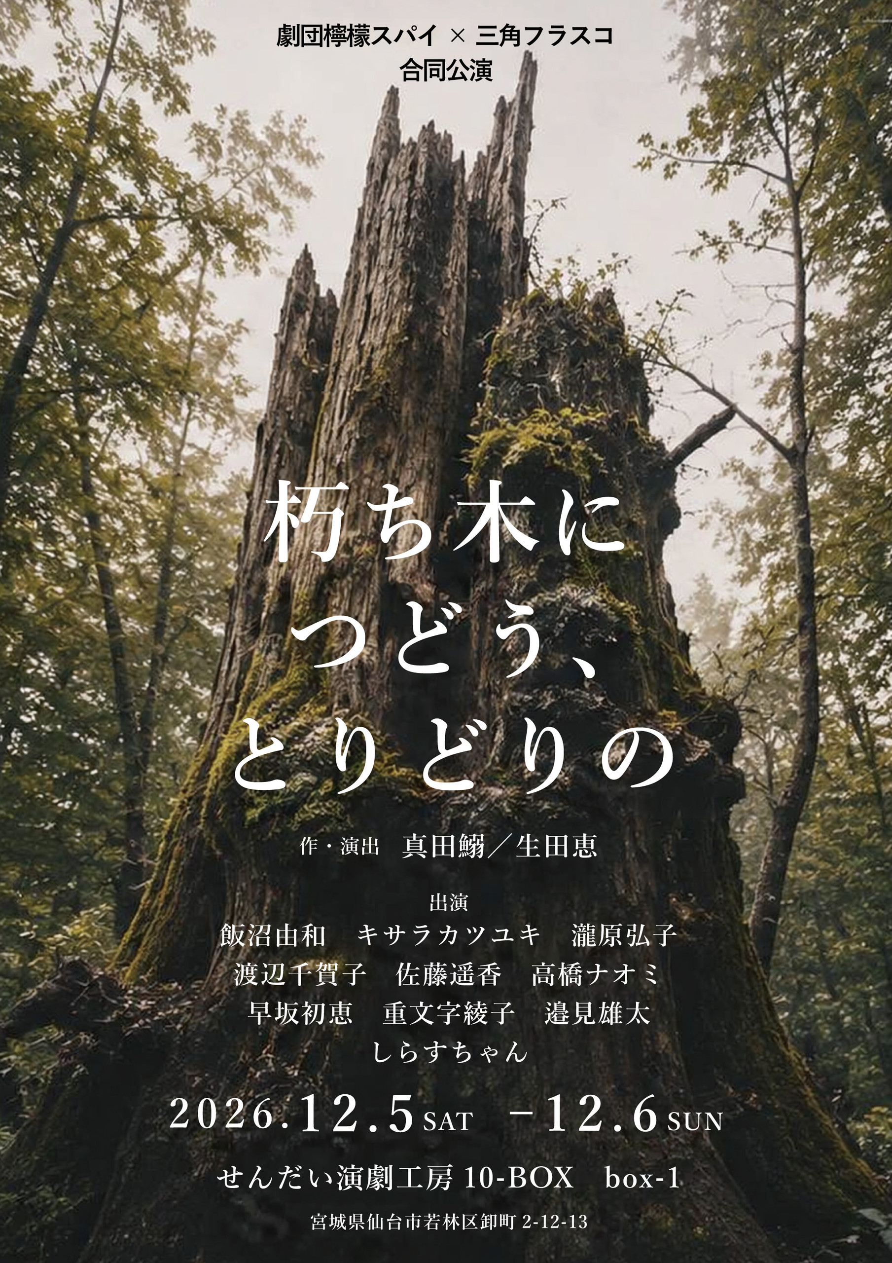 劇団檸檬スパイ×三角フラスコ 合同公演　　　　　　　　　　　朽ち木につどう、とりどりの