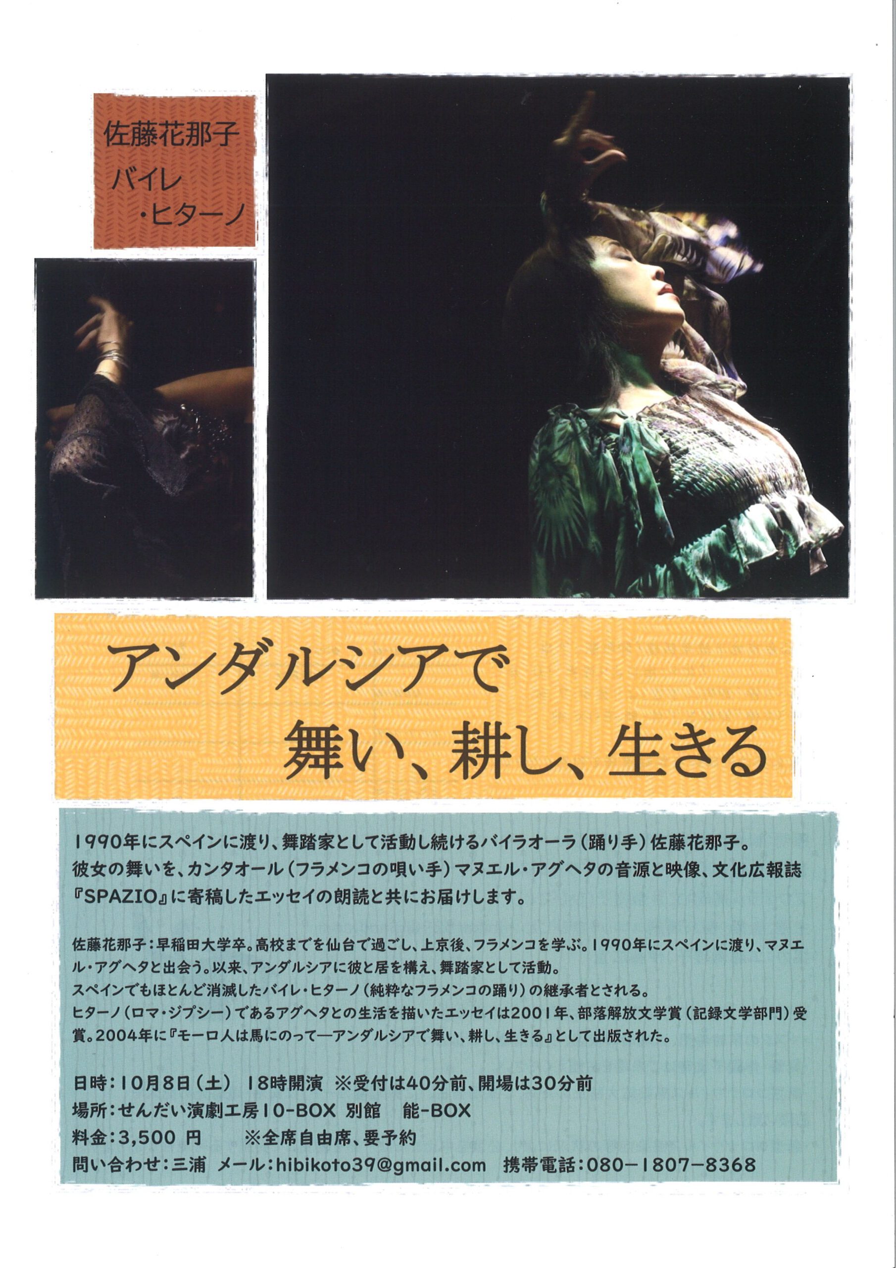 佐藤花那子 バイレ・ヒターノ　『アンダルシアで舞い、耕し、生きる』